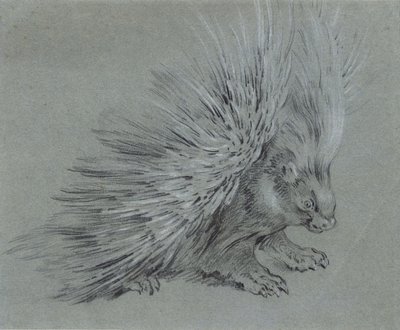 Porcupine by Jean Baptiste Oudry